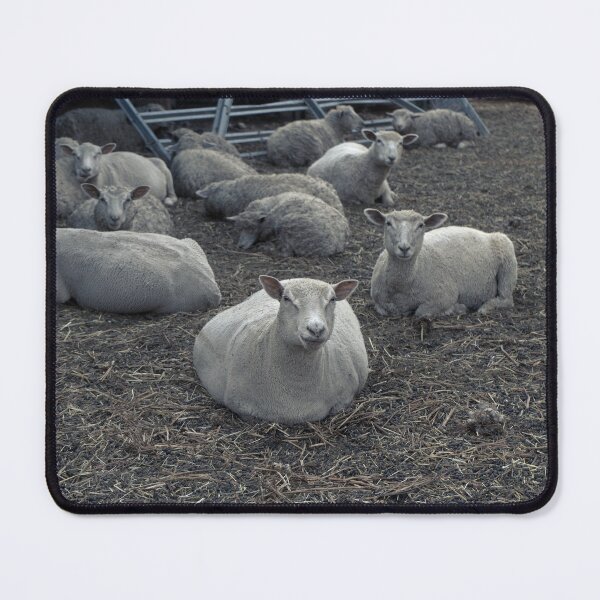 Item preview, Suspicious Sheep designed and sold by Gavin Orsetti.