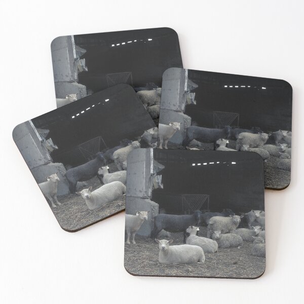 Item preview, Sheep Gang designed and sold by Gavin Orsetti.