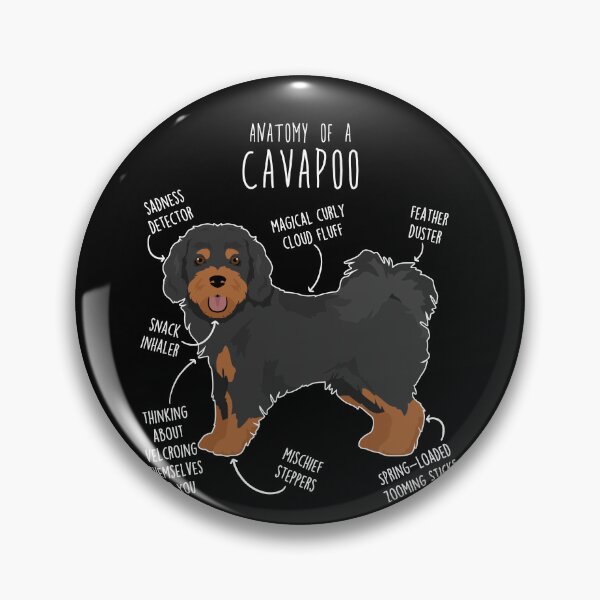 Item preview, Black and Tan Cavapoo Dog Anatomy designed and sold by Clara Hollins.