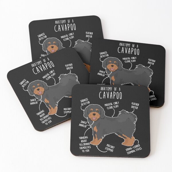 Item preview, Black and Tan Cavapoo Dog Anatomy designed and sold by Clara Hollins.