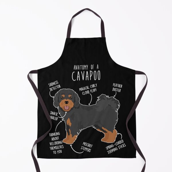 Item preview, Black and Tan Cavapoo Dog Anatomy designed and sold by Clara Hollins.