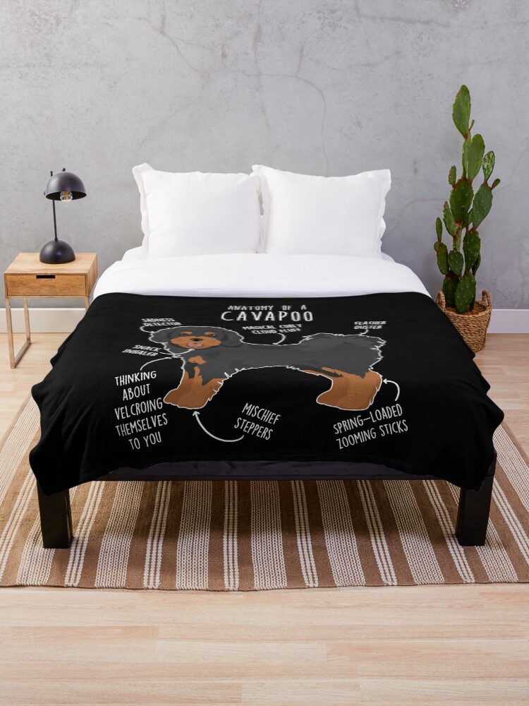 Black and Tan Cavapoo Dog Anatomy