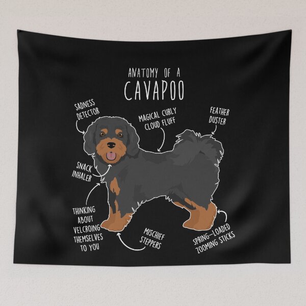 Item preview, Black and Tan Cavapoo Dog Anatomy designed and sold by Clara Hollins.