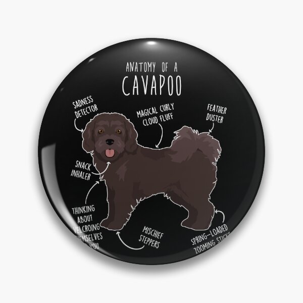 Item preview, Chocolate Cavapoo Dog Anatomy designed and sold by Clara Hollins.
