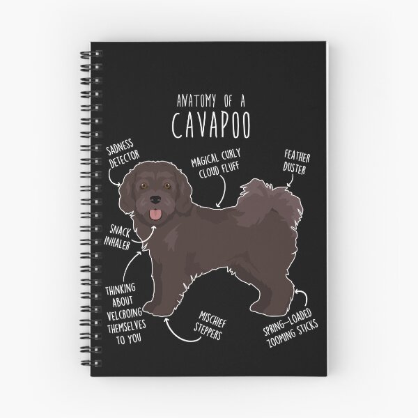 Item preview, Chocolate Cavapoo Dog Anatomy designed and sold by Clara Hollins.