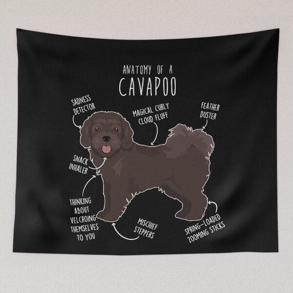 Item preview, Chocolate Cavapoo Dog Anatomy designed and sold by Clara Hollins.