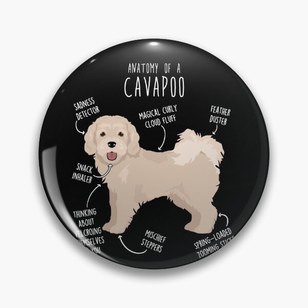 Item preview, Cavapoo Dog Anatomy designed and sold by Clara Hollins.