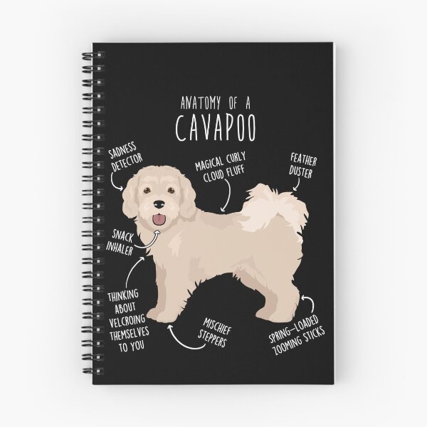 Item preview, Cavapoo Dog Anatomy designed and sold by Clara Hollins.