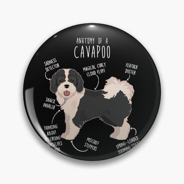 Item preview, Parti Cavapoo Dog Anatomy designed and sold by Clara Hollins.