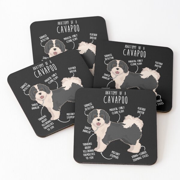 Item preview, Parti Cavapoo Dog Anatomy designed and sold by Clara Hollins.