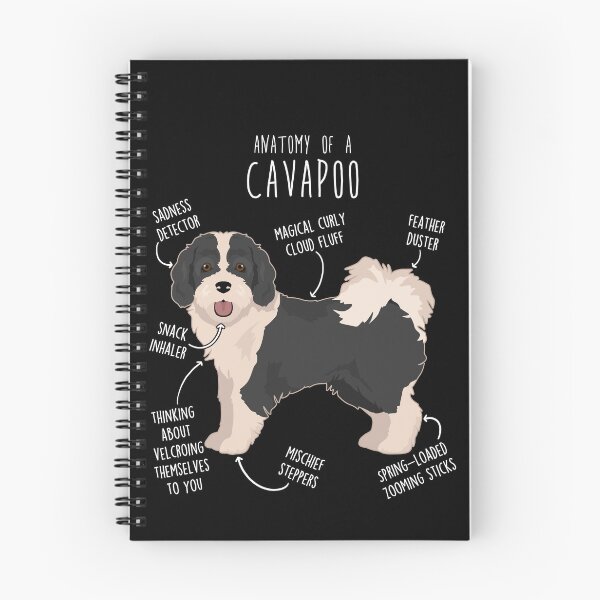 Artikelvorschau, Teile der Anatomie des Cavapoo-Hundes entworfen und verkauft von Clara Hollins.
