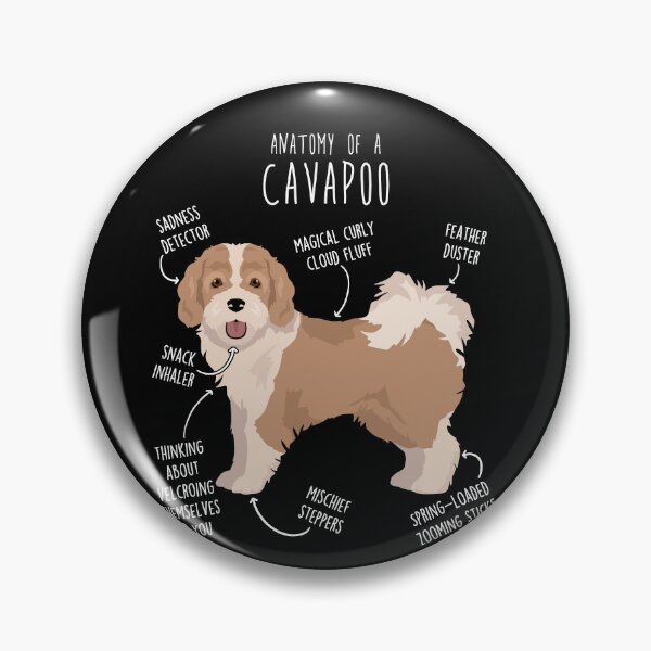 Item preview, Parti Cavapoo Dog Anatomy designed and sold by Clara Hollins.