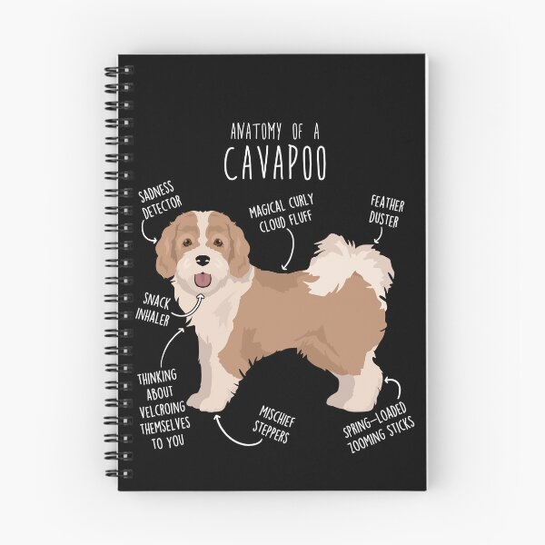Item preview, Parti Cavapoo Dog Anatomy designed and sold by Clara Hollins.