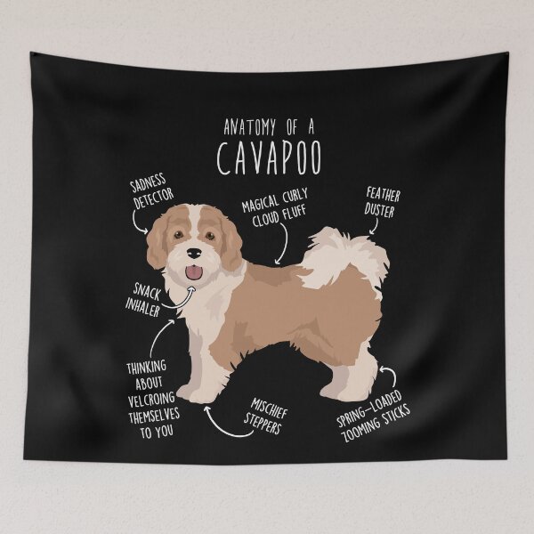 Item preview, Parti Cavapoo Dog Anatomy designed and sold by Clara Hollins.