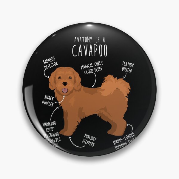 Item preview, Cavapoo Dog Anatomy designed and sold by Clara Hollins.