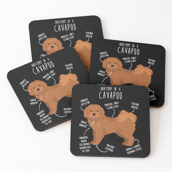 Item preview, Cavapoo Dog Anatomy designed and sold by Clara Hollins.