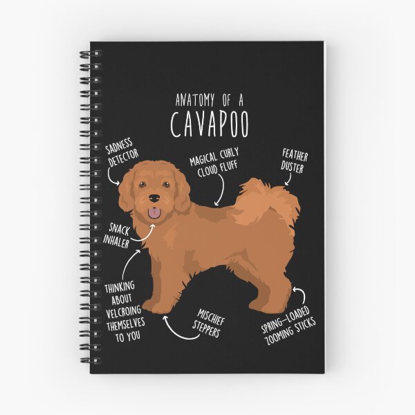 Item preview, Cavapoo Dog Anatomy designed and sold by Clara Hollins.