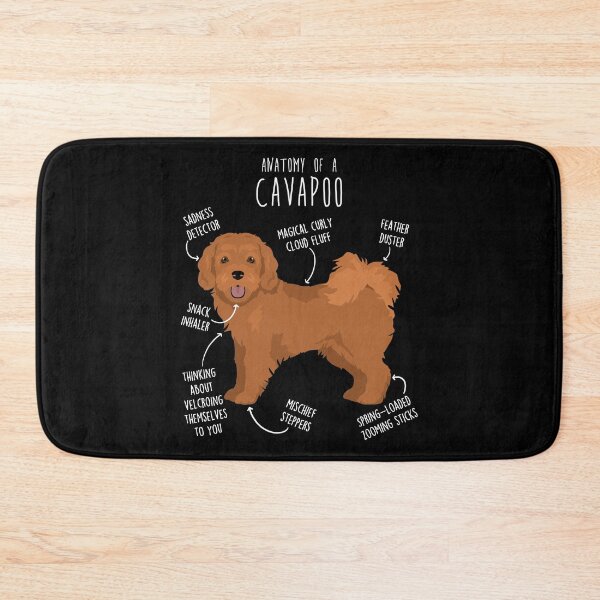 Item preview, Cavapoo Dog Anatomy designed and sold by Clara Hollins.