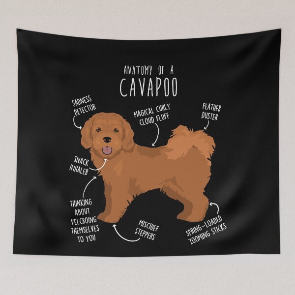 Item preview, Cavapoo Dog Anatomy designed and sold by Clara Hollins.