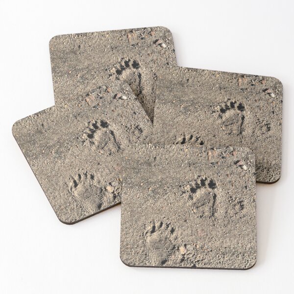 Item preview, Feet designed and sold by Nvision.