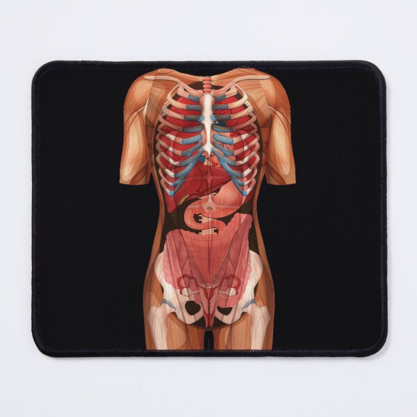 Item preview, Location Organs - Anatomy Human Body Front	 designed and sold by fytqodihe16.