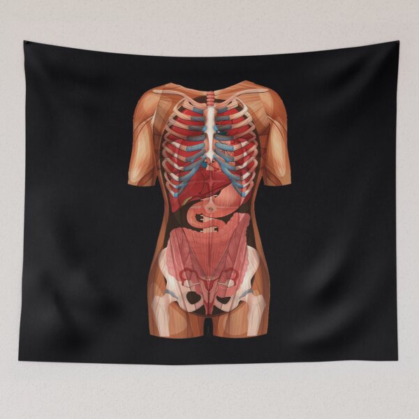 Item preview, Location Organs - Anatomy Human Body Front	 designed and sold by fytqodihe16.