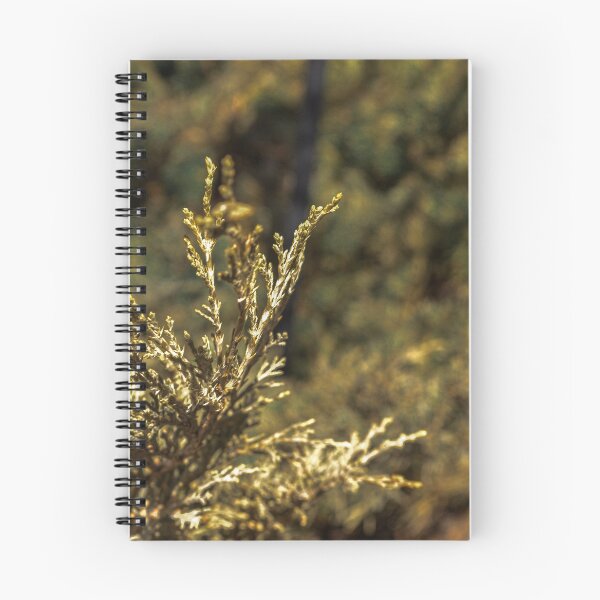 Item preview, Juniper Plant  designed and sold by Momecap.