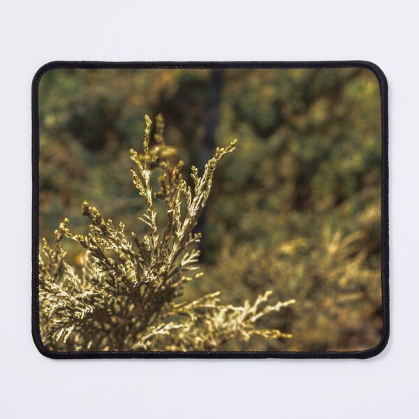 Item preview, Juniper Plant designed and sold by Momecap.