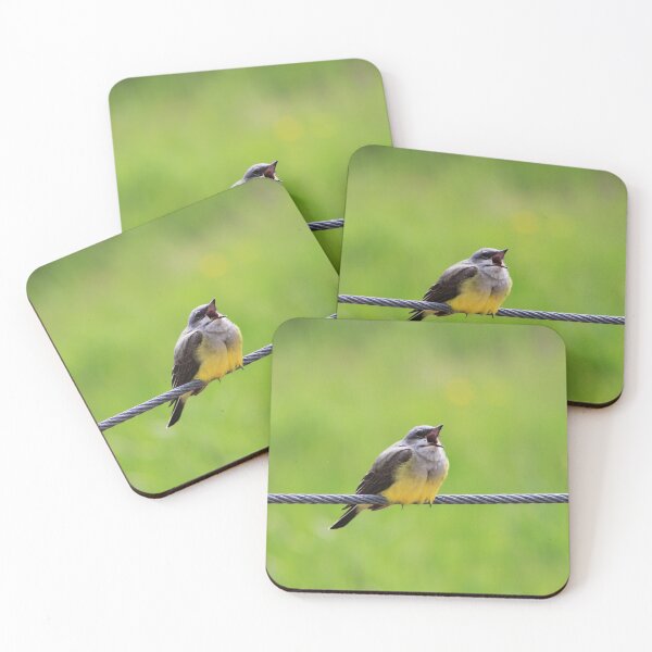Item preview, Singing Kingbird designed and sold by Alyce Taylor.