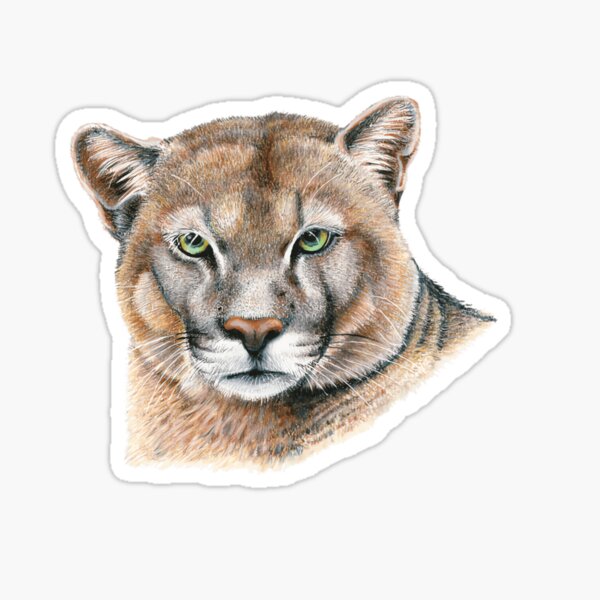 Vista previa del artículo con la obra «lolo el puma», diseñado y vendido por fytqodihe16.