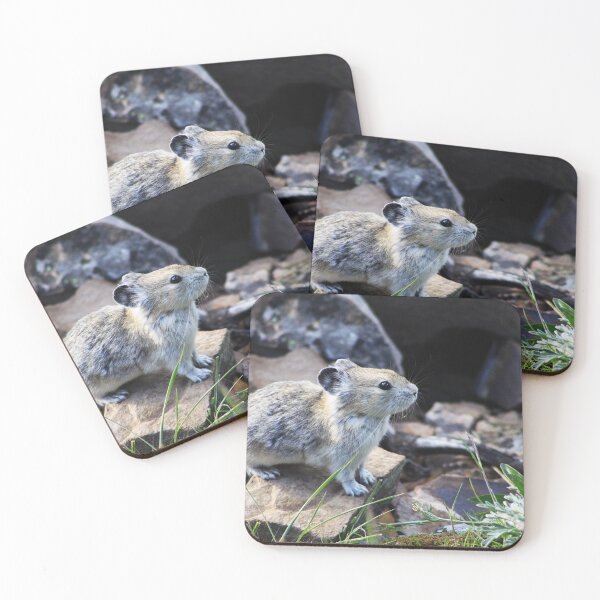 Item preview, Pika designed and sold by Alyce Taylor.