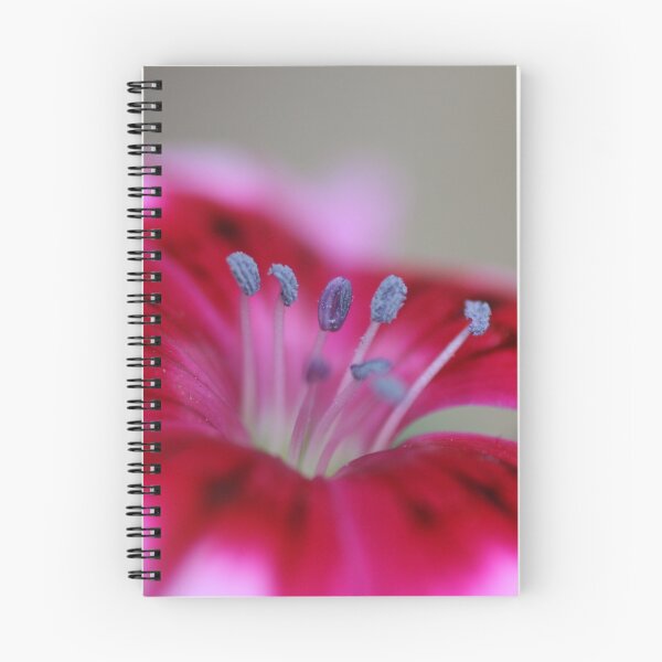 Item preview, Stand Tall designed and sold by Joy Watson - Natural Light Photography .