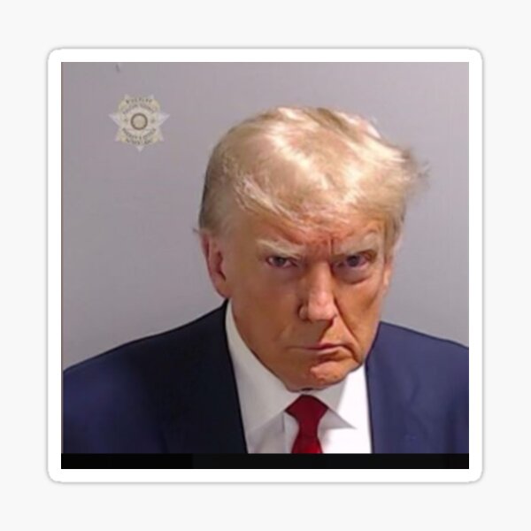 Artikel-Vorschau von Trump-Fahndungsfoto, designt und verkauft von ArashiiGames.