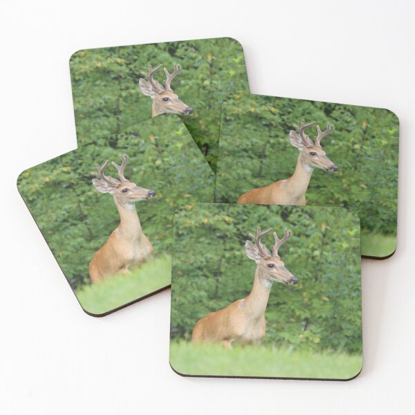 Item preview, King of the Hill designed and sold by LisaNaturePhoto.
