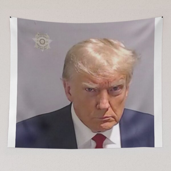 Aperçu de l'œuvre Trump Mug Shot créée et vendue par emilystp23.