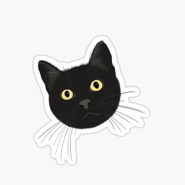 Coraline Style Black Cat Sticker – Hidden Gems Novelty