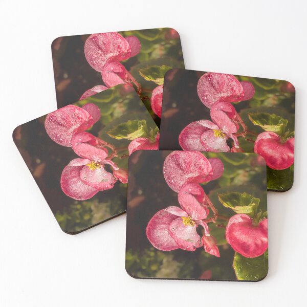 Item preview, Ambassador Rose designed and sold by rose-waterhause.