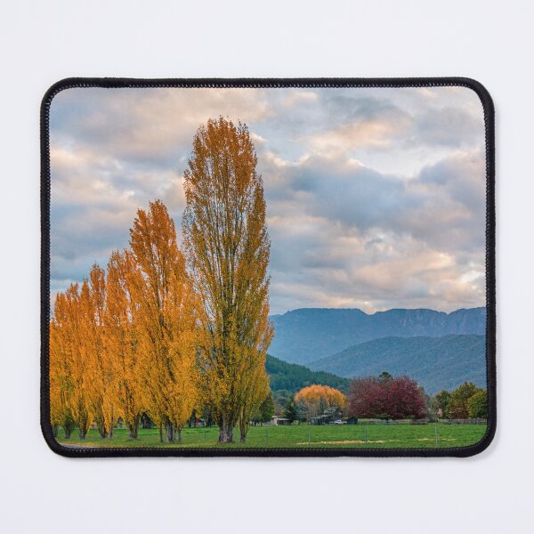 Item preview, Poplars on McConnells Lane (Porepunkah) designed and sold by brightmystic.