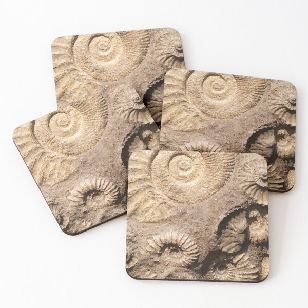Item preview, Ammonite Fossils  designed and sold by LifeSpice.