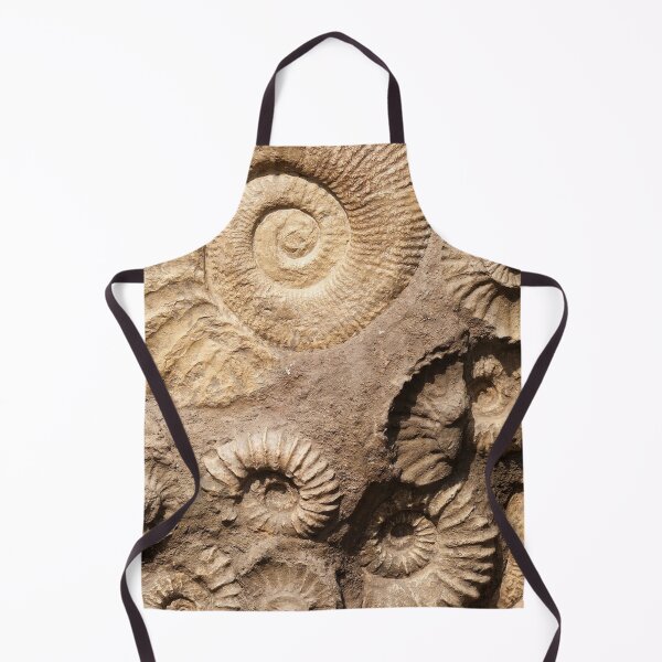 Item preview, Ammonite Fossils designed and sold by LifeSpice.