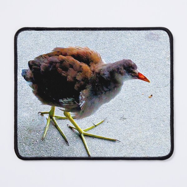 Item preview, Swamp chicken designed and sold by ColderDesignLab.