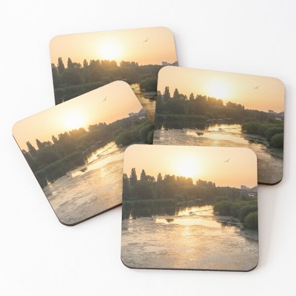 Item preview, Brilliant Serendipity - Sunrise Seagull over Maritsa River in Plovdiv Bulgaria designed and sold by Georgia Mizuleva.