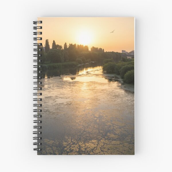 Item preview, Brilliant Serendipity - Sunrise Seagull over Maritsa River in Plovdiv Bulgaria designed and sold by Georgia Mizuleva.
