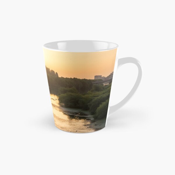 Item preview, Brilliant Serendipity - Sunrise Seagull over Maritsa River in Plovdiv Bulgaria designed and sold by Georgia Mizuleva.