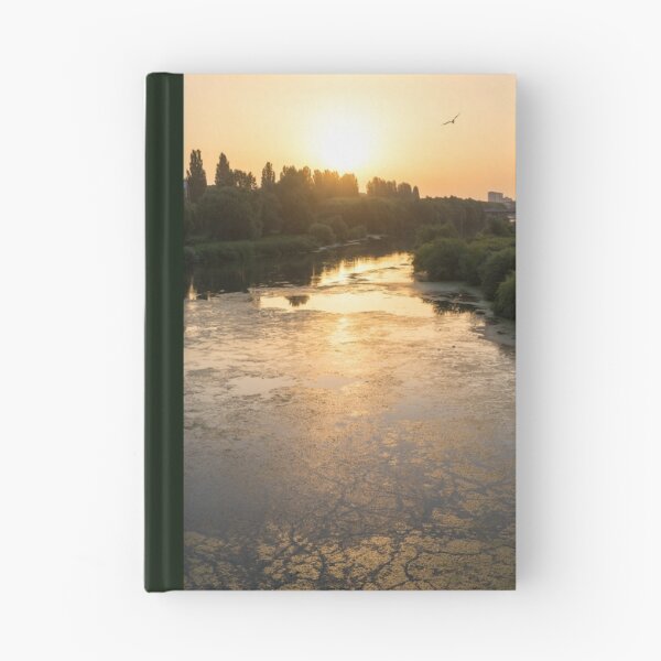 Item preview, Brilliant Serendipity - Sunrise Seagull over Maritsa River in Plovdiv Bulgaria designed and sold by Georgia Mizuleva.