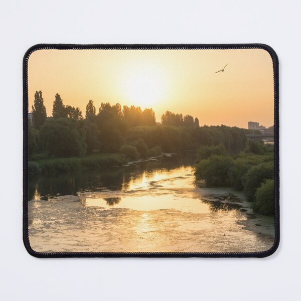 Item preview, Brilliant Serendipity - Sunrise Seagull over Maritsa River in Plovdiv Bulgaria designed and sold by Georgia Mizuleva.