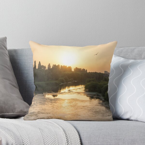 Item preview, Brilliant Serendipity - Sunrise Seagull over Maritsa River in Plovdiv Bulgaria designed and sold by Georgia Mizuleva.