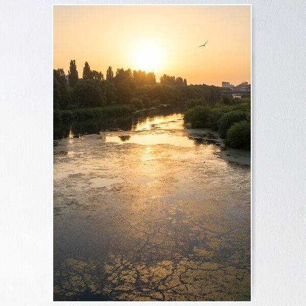 Item preview, Brilliant Serendipity - Sunrise Seagull over Maritsa River in Plovdiv Bulgaria designed and sold by Georgia Mizuleva.