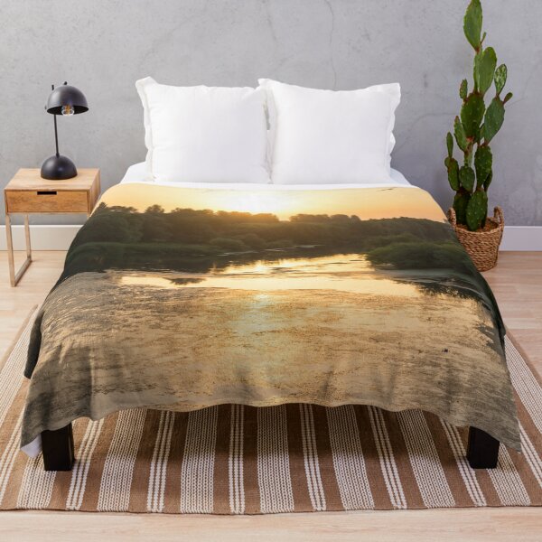 Item preview, Brilliant Serendipity - Sunrise Seagull over Maritsa River in Plovdiv Bulgaria designed and sold by Georgia Mizuleva.