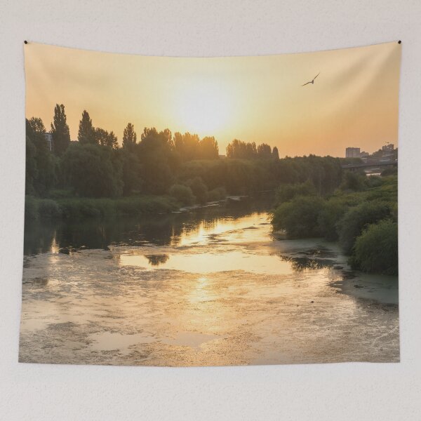Item preview, Brilliant Serendipity - Sunrise Seagull over Maritsa River in Plovdiv Bulgaria designed and sold by Georgia Mizuleva.